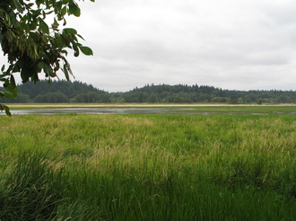 Birding Site of the week image